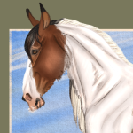 bedfordblack's Avatar