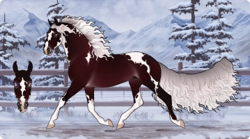 Thumbnail for 7031 Cherry Cola