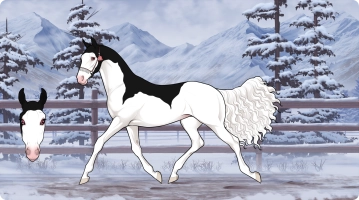 Thumbnail for 0727 JSS Call Me at Midnight