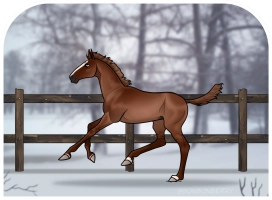 Thumbnail for 0770 CMA Me And My Brain