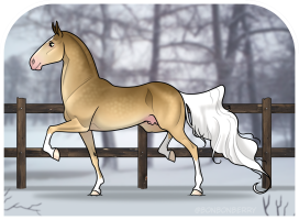 Thumbnail for 1028 JSS Champagne Showers