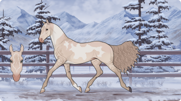 Thumbnail for 10162 FT Wild Goddess