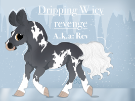 Thumbnail for 5463 Dripping W Icy Revenge