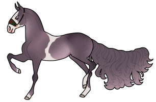 Thumbnail for 10217 MMV Earl Grey