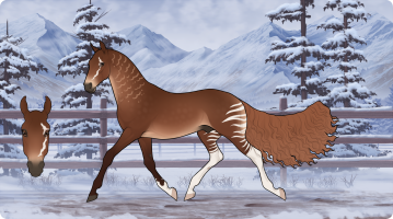 Thumbnail for 10274 Forest Paradise