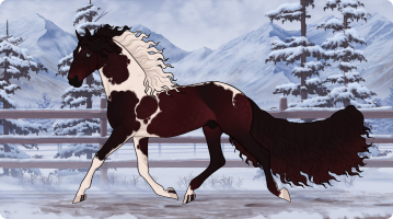 Thumbnail for 10211 Captain of the Caribbean