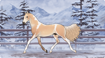 Thumbnail for 10777 NW FLOWERS ON THE ROOF RACK