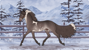 Thumbnail for 11217 Manhattan Playboy