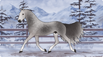 Thumbnail for 11740 Sterling Silver