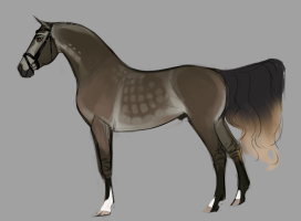 Thumbnail for 6681 Anteague