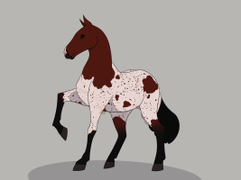 Thumbnail for 4031 Ranchin’ Longhorn