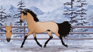 Thumbnail for 12008 MMR What A Roll