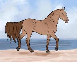 Thumbnail image for 7783 Fly On Mourning Dove