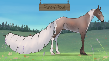 Thumbnail for 12228 Prancin’ Proud
