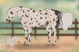 Thumbnail of 12113 OSR Poco Driftwood Hancock