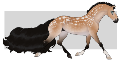 Thumbnail for 11468 Takoda