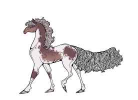 Thumbnail for 6268 Juniper Brew At Midnight