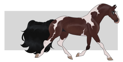 Thumbnail for 10696 JSS Vintage