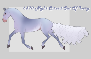 6370 Night Carved Out Of Ivory Thumbnail