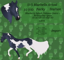 12074 SVS BlueBells Arrival