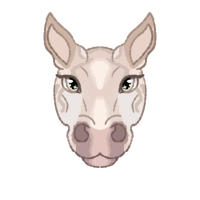 Thumbnail for 1912 MRE Sangria