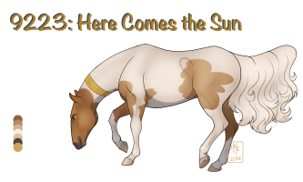 Thumbnail for 9223 Here Comes the Sun