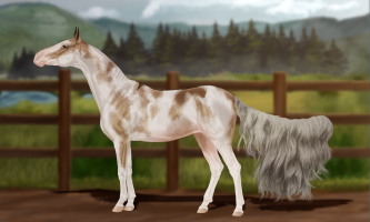 Thumbnail for 12125 Tides Coming In