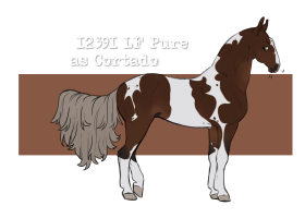 Thumbnail for 12391 LF Pure as Cortado