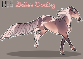 Thumbnail for 11444 RES Belle's Darling