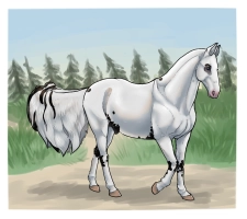 Thumbnail for 12363 Snow's Coal