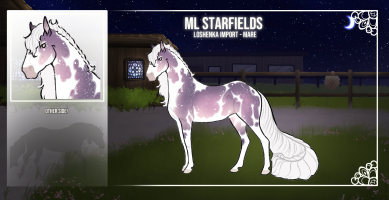 Thumbnail for 8876 ML Starfields