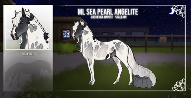 Thumbnail for 11152 ML Sea Pearl Angelite