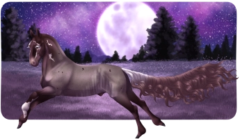 Thumbnail for 6612 Mort's Woodroofe