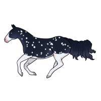 Thumbnail for 12454 Midnight Snow