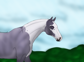 Thumbnail for 10620 CLH Dancing Across winters snow