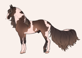 Thumbnail for 12446 CS Espresso Romano