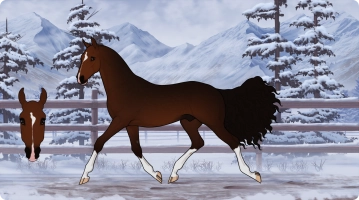 Thumbnail for 2697 TP Horace