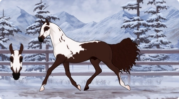 Thumbnail for 6087 Morir