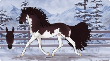 Thumbnail for 6308 SWA Care to Share