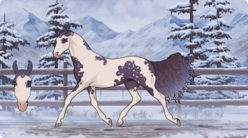 Thumbnail for 6366 Iolanthe