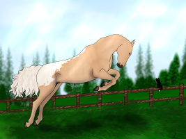 3450 CLH Running into the Sun Thumbnail