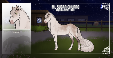 Thumbnail for 11163 ML Sugar Churro
