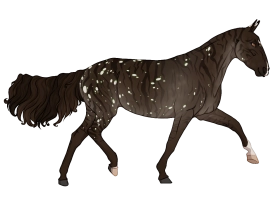 Thumbnail image for 11463 Odori Toki