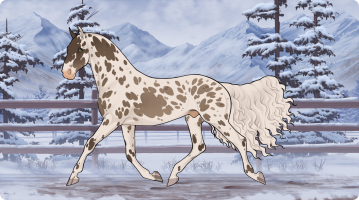 Thumbnail of 11653 Spicy Situation