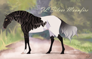 Thumbnail of 10409 ZL Silver Moonfire