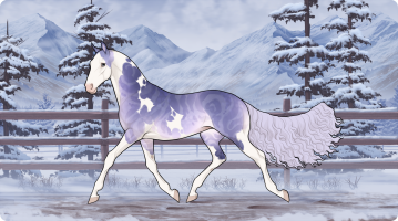 Thumbnail for 12575 LPH Silver's Remorse