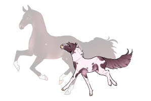 Thumbnail for 12584 Sugarplum