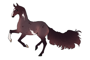 Thumbnail for 12591 Dove