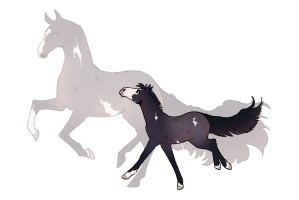 Thumbnail for 12592 Romeo