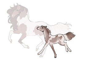 Thumbnail for 12594 Amadeus